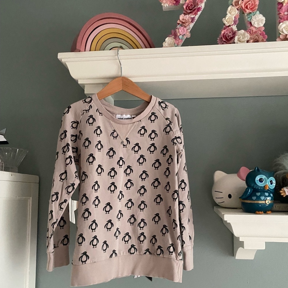 Mini Rodini sweatshirt